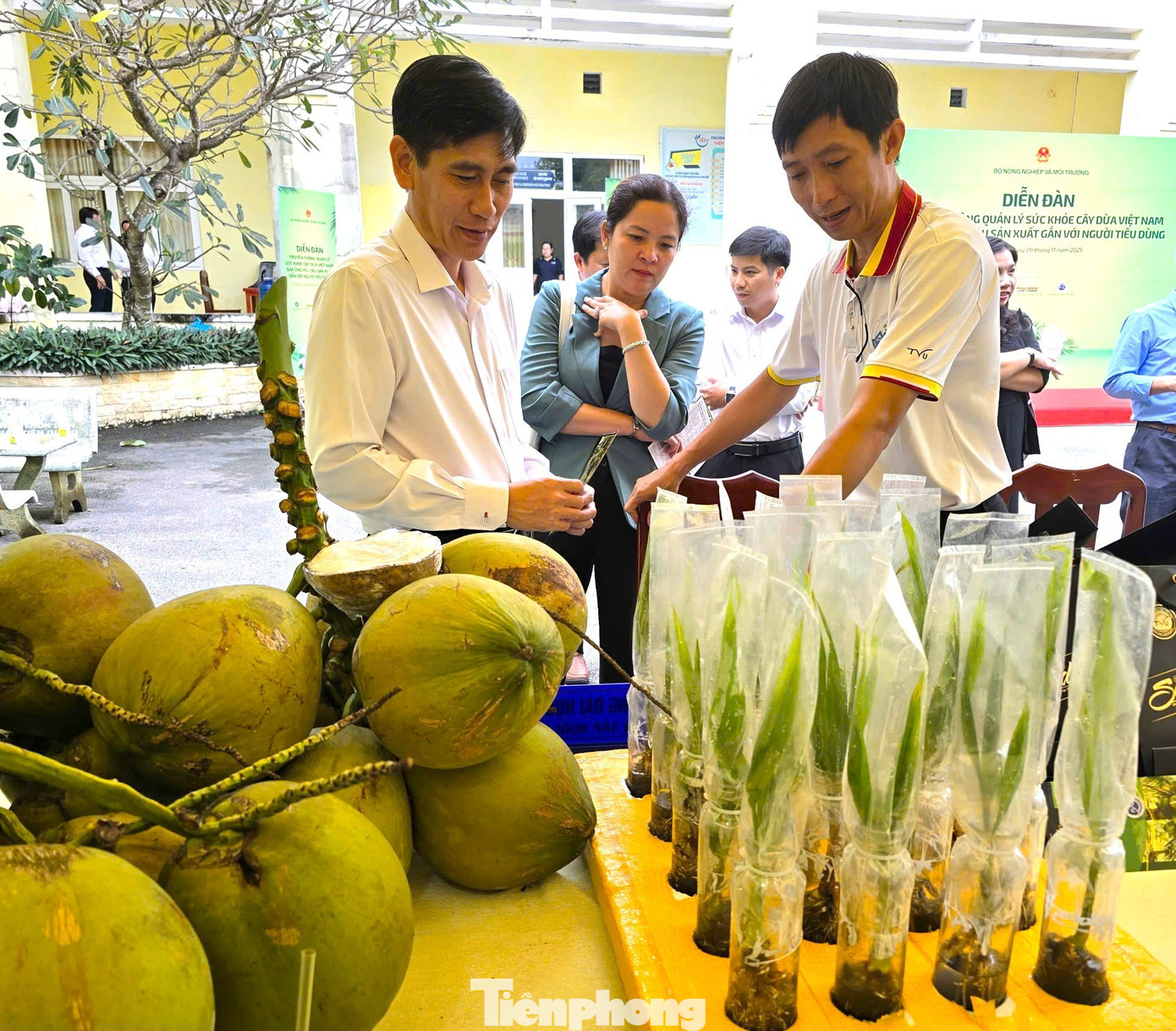 Từ loài cây ít giá trị nay trở thành 'ngôi sao' xuất khẩu của Việt Nam - Ảnh 1