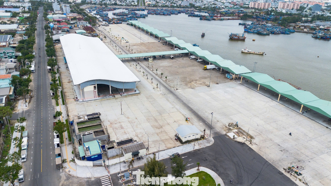 Diện mạo trung tâm nghề cá 250 tỷ ở Đà Nẵng vừa 'lên đời' - Ảnh 3