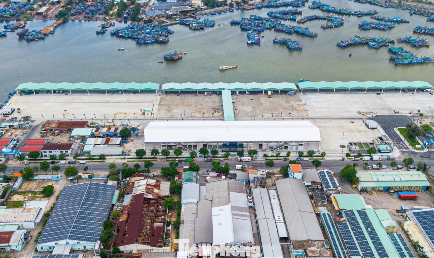 Diện mạo trung tâm nghề cá 250 tỷ ở Đà Nẵng vừa 'lên đời' - Ảnh 1