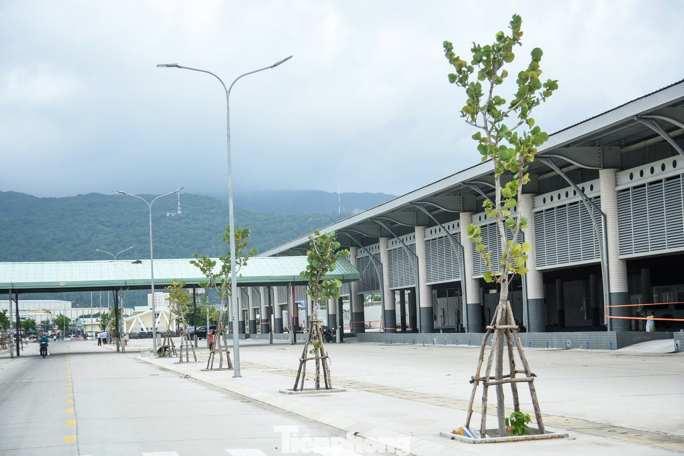 Diện mạo trung tâm nghề cá 250 tỷ ở Đà Nẵng vừa 'lên đời' - Ảnh 6