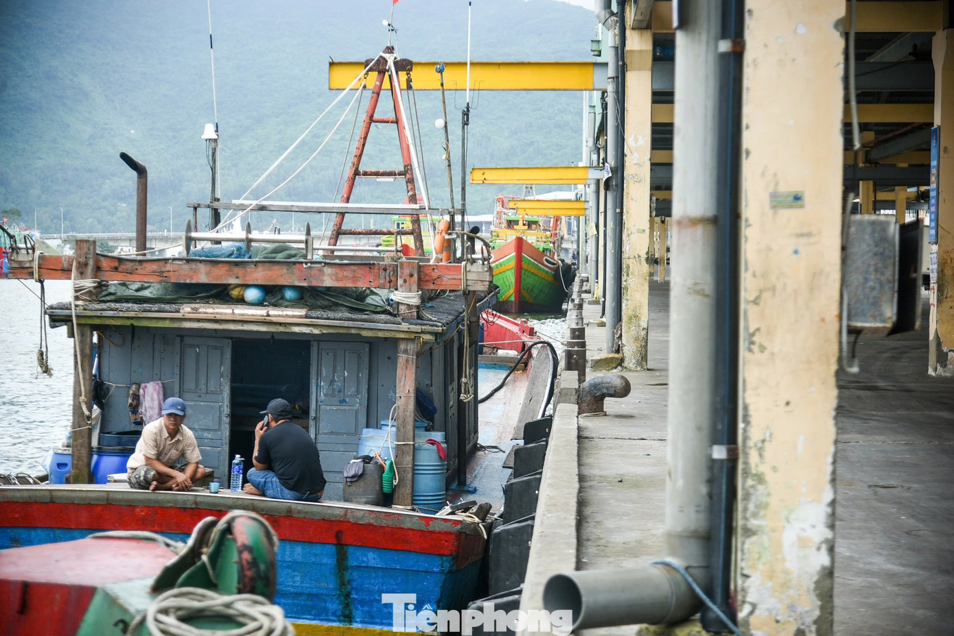 Diện mạo trung tâm nghề cá 250 tỷ ở Đà Nẵng vừa 'lên đời' - Ảnh 9