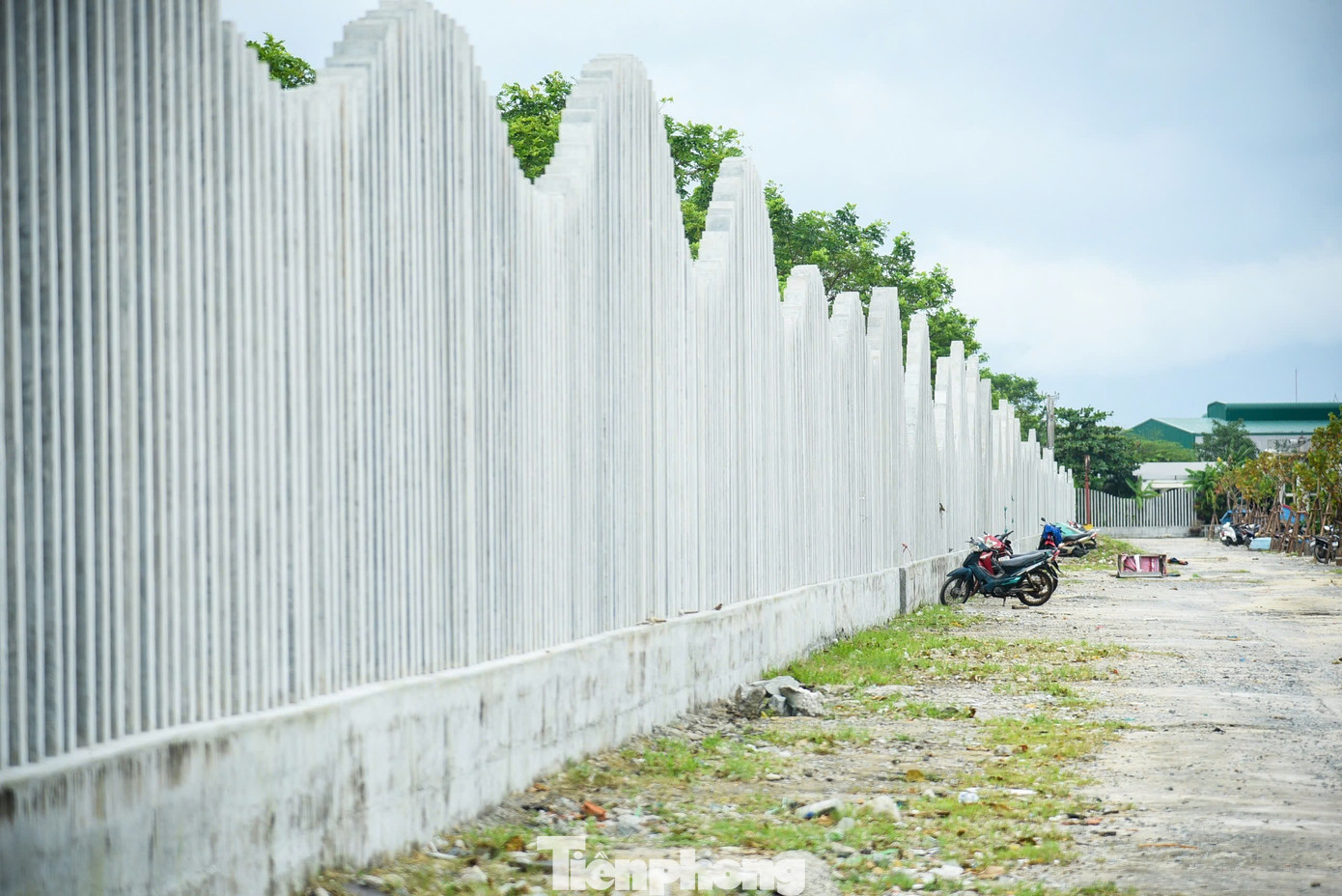 Diện mạo trung tâm nghề cá 250 tỷ ở Đà Nẵng vừa 'lên đời' - Ảnh 7
