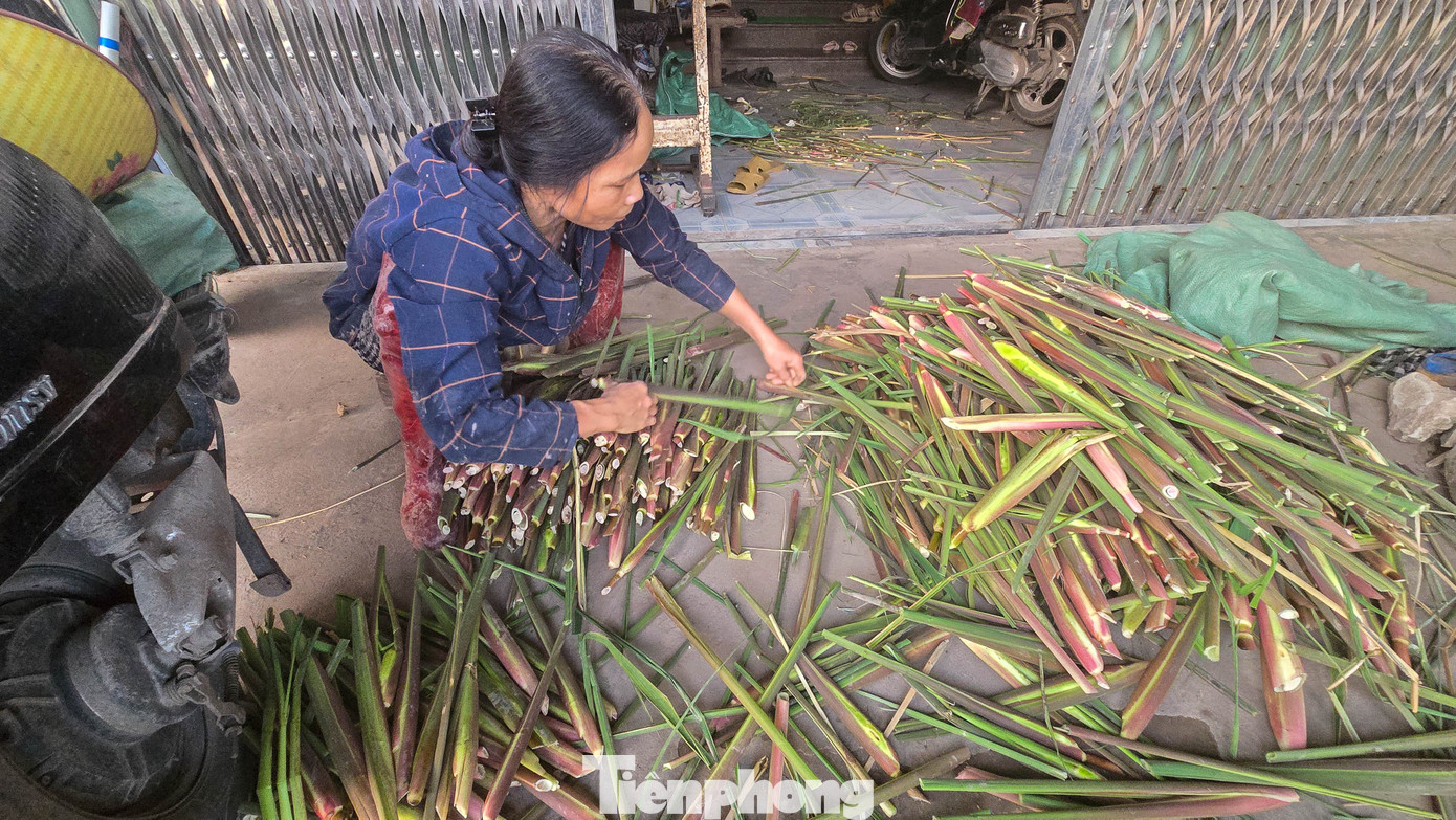 Loại củ mỗi năm chỉ có một lần, ăn giòn ngọt, nguyên vị sương sớm gây thương nhớ - Ảnh 3