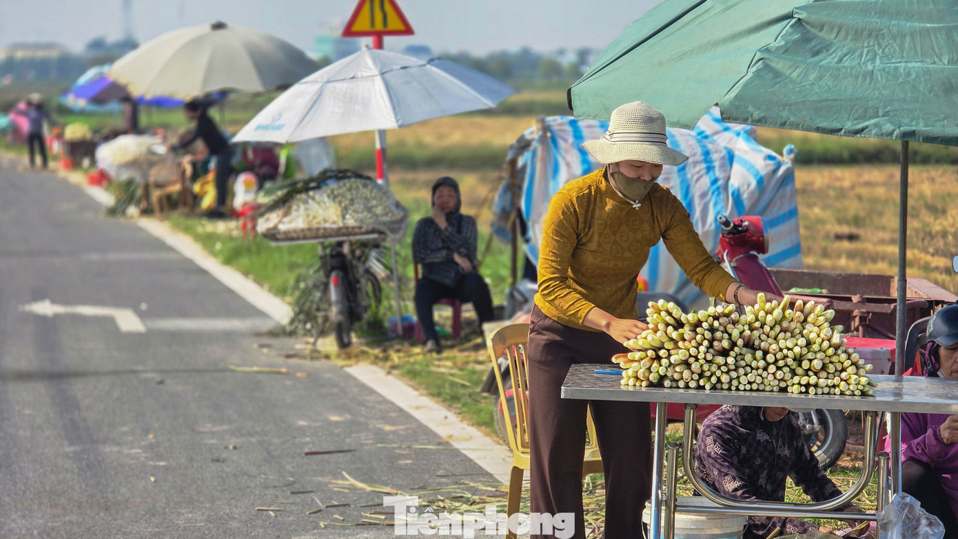 Loại củ mỗi năm chỉ có một lần, ăn giòn ngọt, nguyên vị sương sớm gây thương nhớ - Ảnh 6