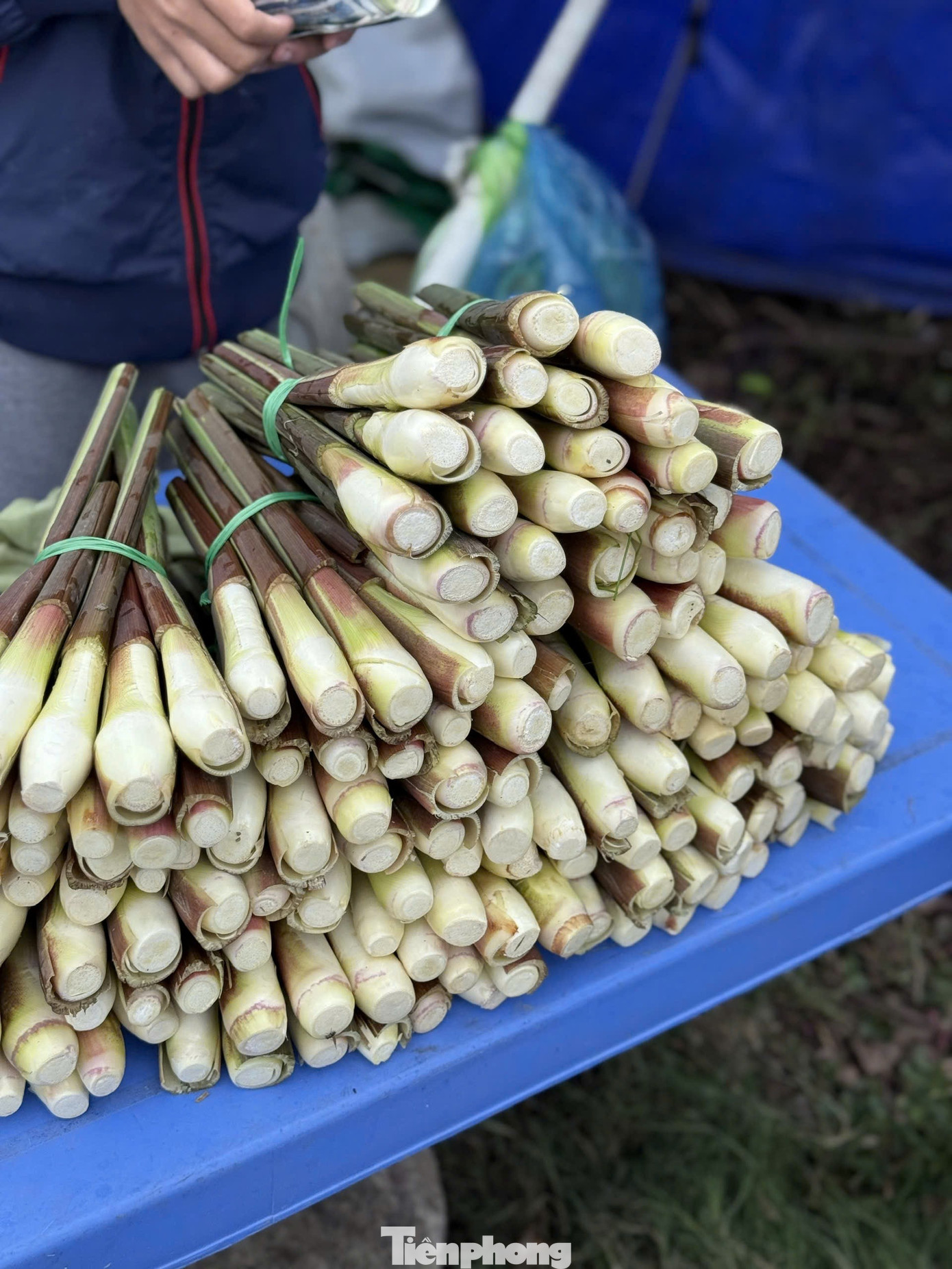 Loại củ mỗi năm chỉ có một lần, ăn giòn ngọt, nguyên vị sương sớm gây thương nhớ - Ảnh 4
