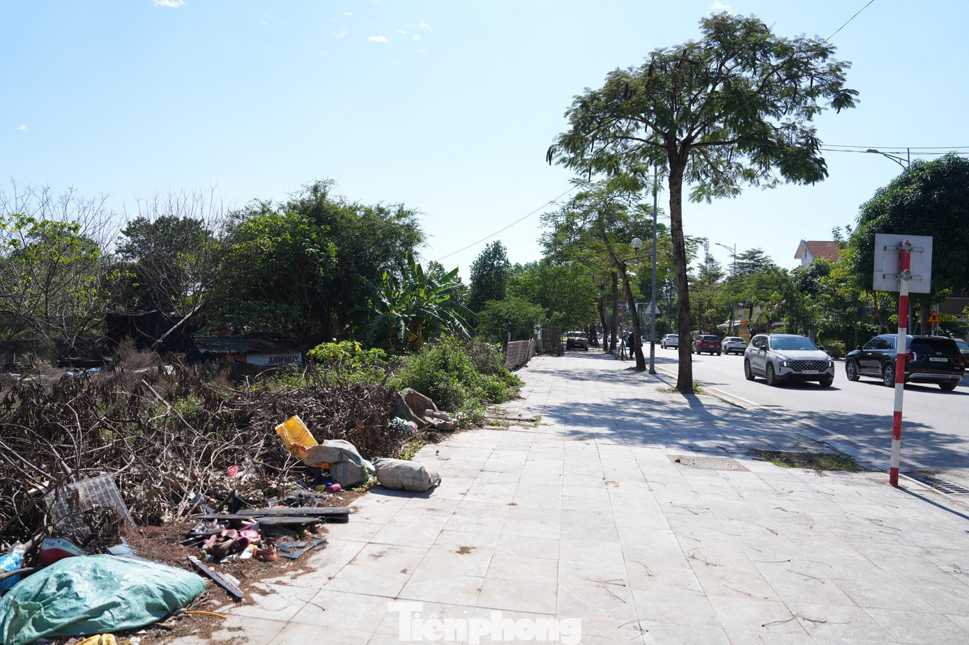 Hiện trạng khu đất làm công viên, quảng trường nhạc nước gần 100ha ở Hà Nội - Ảnh 8