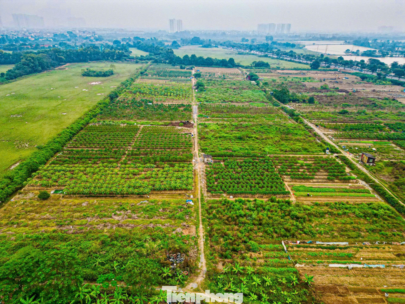 Hiện trạng khu đất làm công viên, quảng trường nhạc nước gần 100ha ở Hà Nội - Ảnh 3