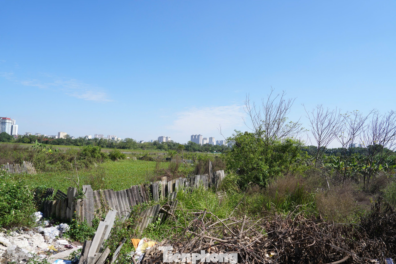 Hiện trạng khu đất làm công viên, quảng trường nhạc nước gần 100ha ở Hà Nội - Ảnh 5