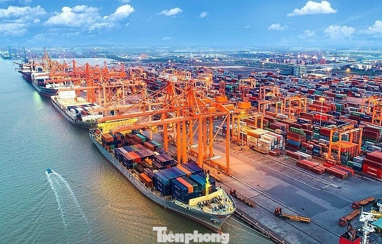 Việt Nam có tiềm năng lớn phát triển cảng xanh, thông minh - Ảnh 2