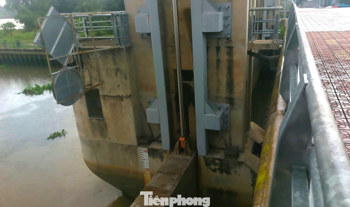 Tận thấy hệ thống tự động ngăn triều, chống ngập phía Bắc TPHCM - Ảnh 4