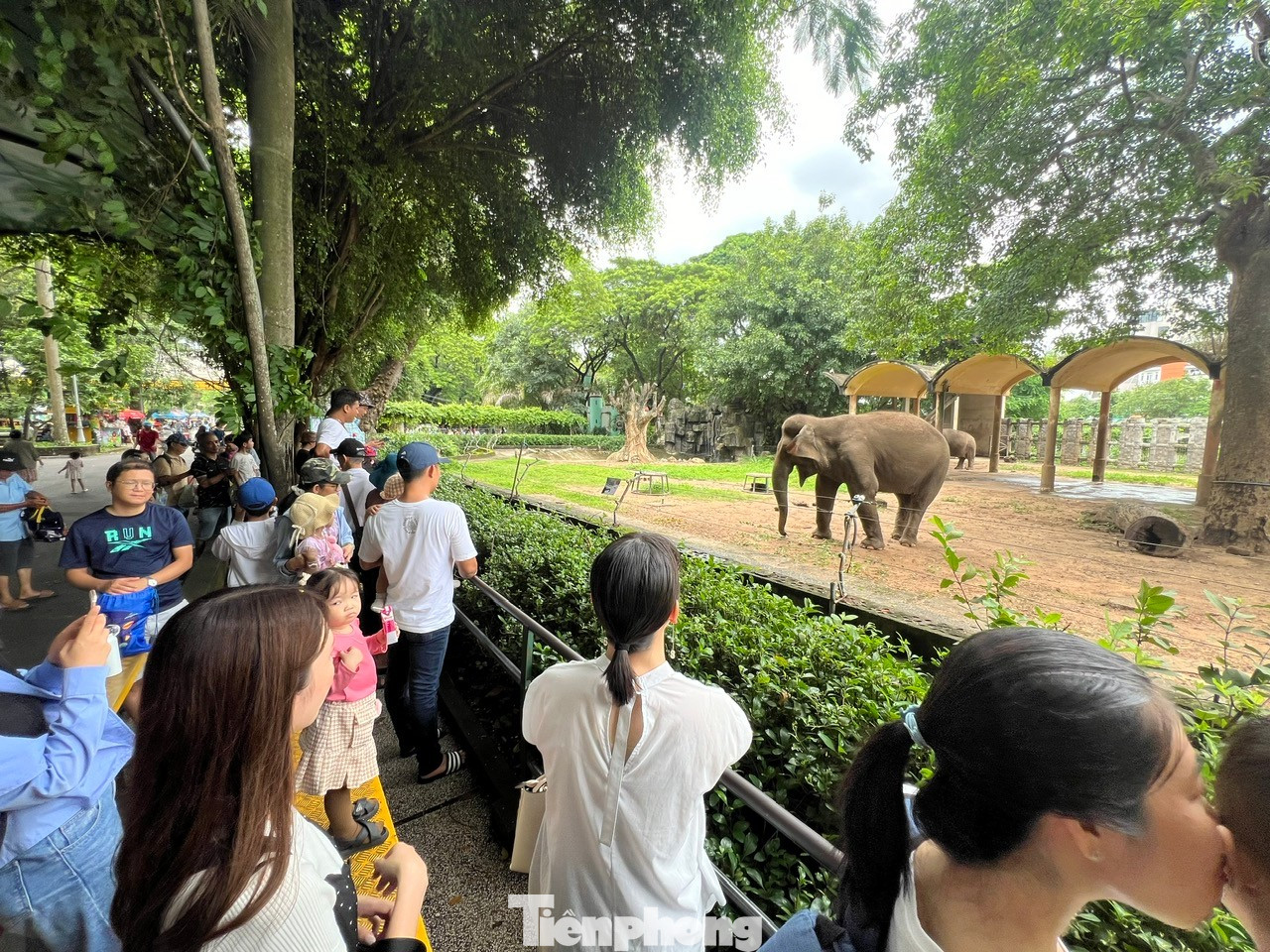 Bất ngờ doanh thu của vườn thú từng bị 'sờ gáy' vì nợ thuế - Ảnh 3