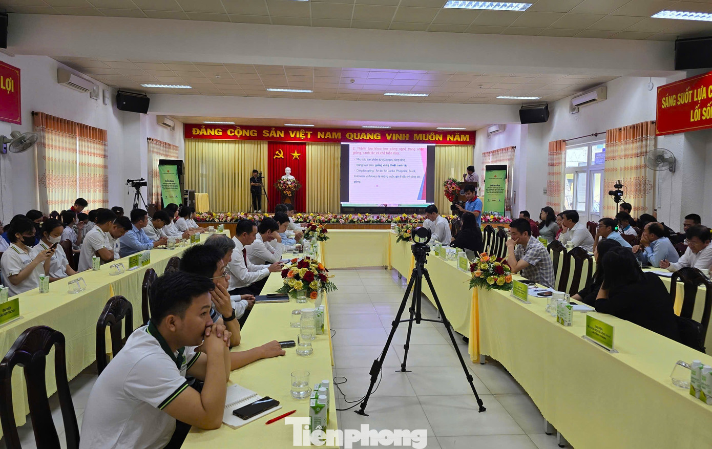 Từ loài cây ít giá trị nay trở thành 'ngôi sao' xuất khẩu của Việt Nam - Ảnh 3