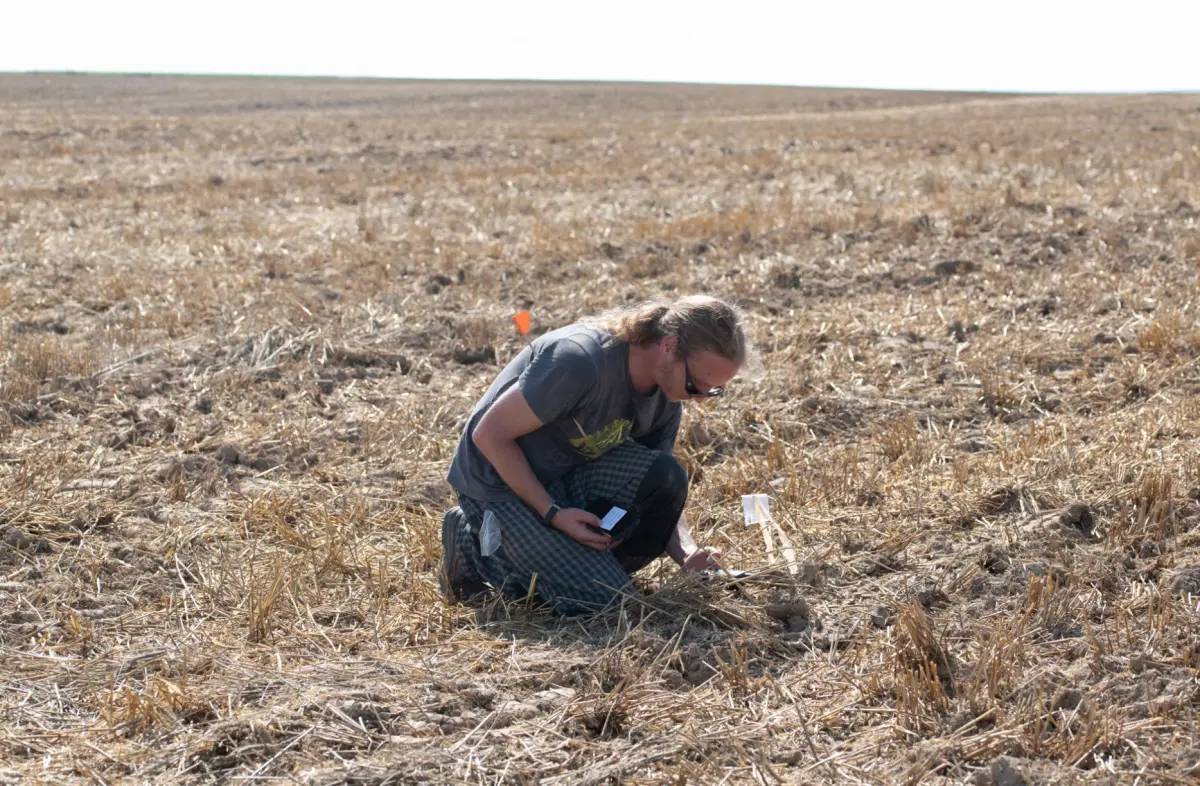 Kho báu vô giá được tìm thấy tại địa điểm bí mật của châu Âu - Ảnh 3