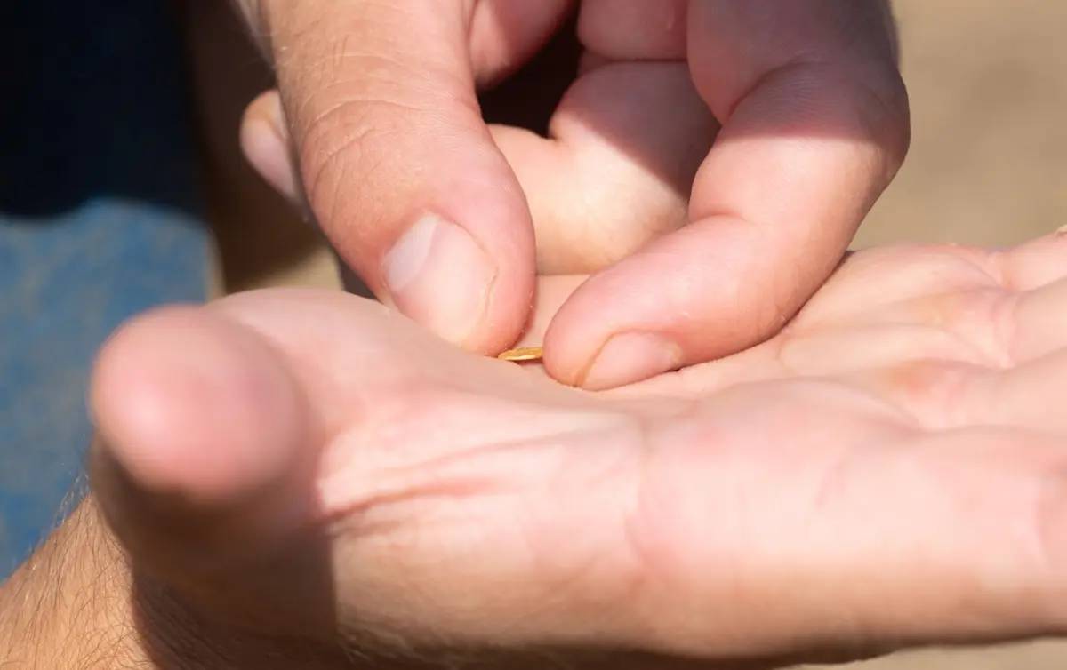 Kho báu vô giá được tìm thấy tại địa điểm bí mật của châu Âu - Ảnh 2