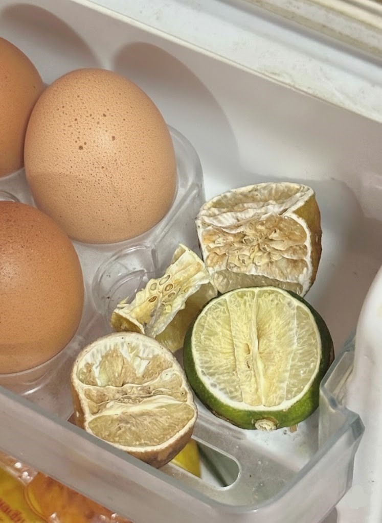 Trung bình cửa tủ lạnh của các gia đình Việt Nam đều có 1 thứ: Hóa ra có tác dụng bất ngờ - Ảnh 2