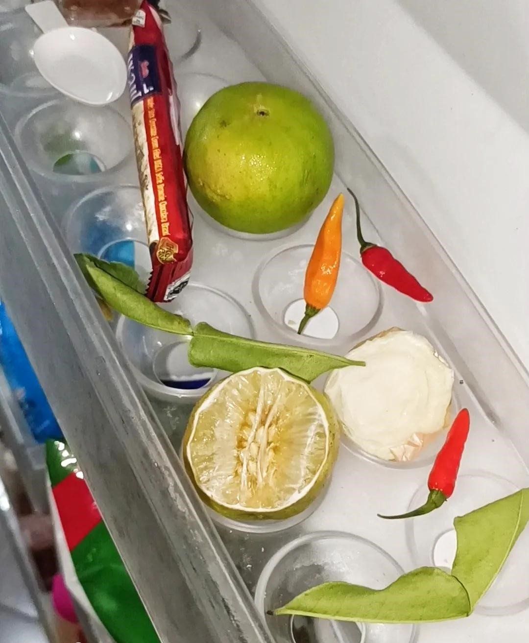 Trung bình cửa tủ lạnh của các gia đình Việt Nam đều có 1 thứ: Hóa ra có tác dụng bất ngờ - Ảnh 4