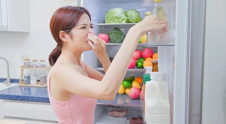 Trung bình cửa tủ lạnh của các gia đình Việt Nam đều có 1 thứ: Hóa ra có tác dụng bất ngờ - Ảnh 5