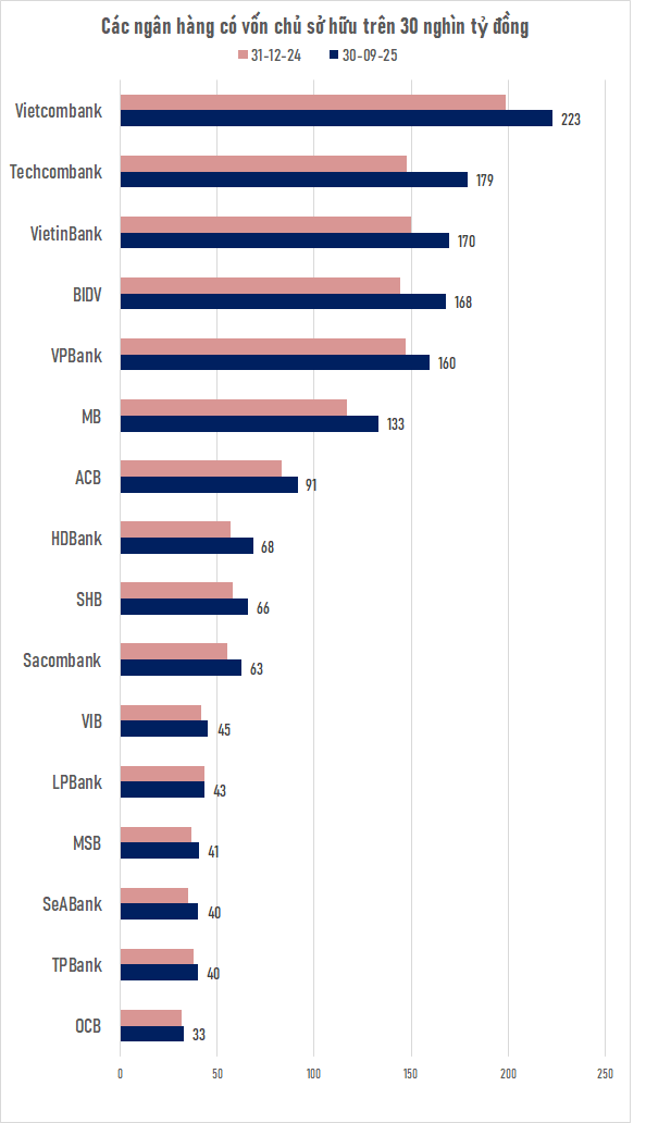 Ngân hàng Việt duy nhất có vốn chủ sở hữu trên 8 tỷ USD - Ảnh 1