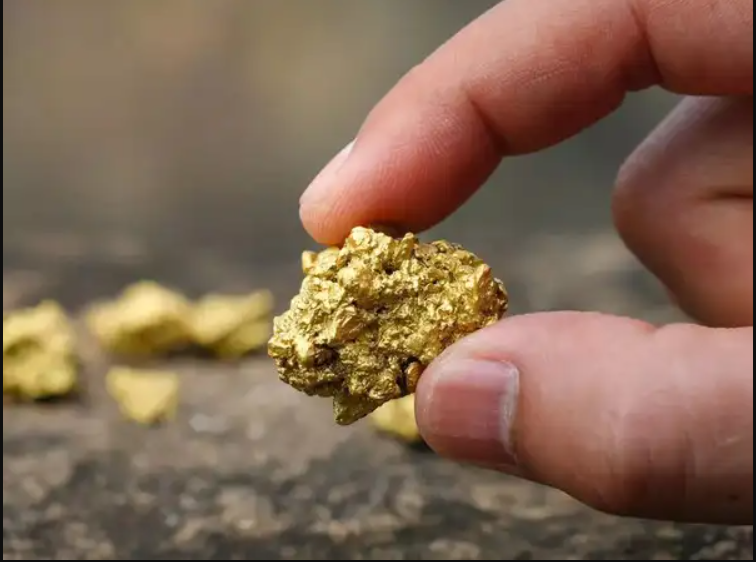 Phát hiện 150 tấn vàng trị giá hơn 120.000 tỷ đồng, cảnh sát lập tức phong tỏa khu vườn của một nông dân - Ảnh 3