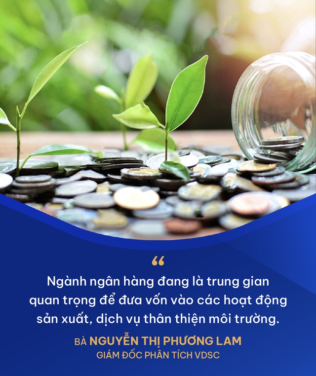 Đi tìm những “ngôi sao sáng” trên thị trường tài chính – ngân hàng năm 2025 - Ảnh 5