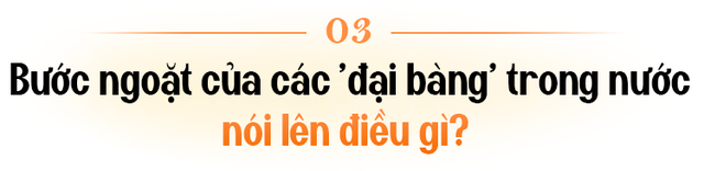 PGS.TS Trần Đình Thiên lý giải vì sao Việt Nam có thể thành công tạo kỳ tích chưa nước nào làm được về tăng trưởng GDP - Ảnh 8