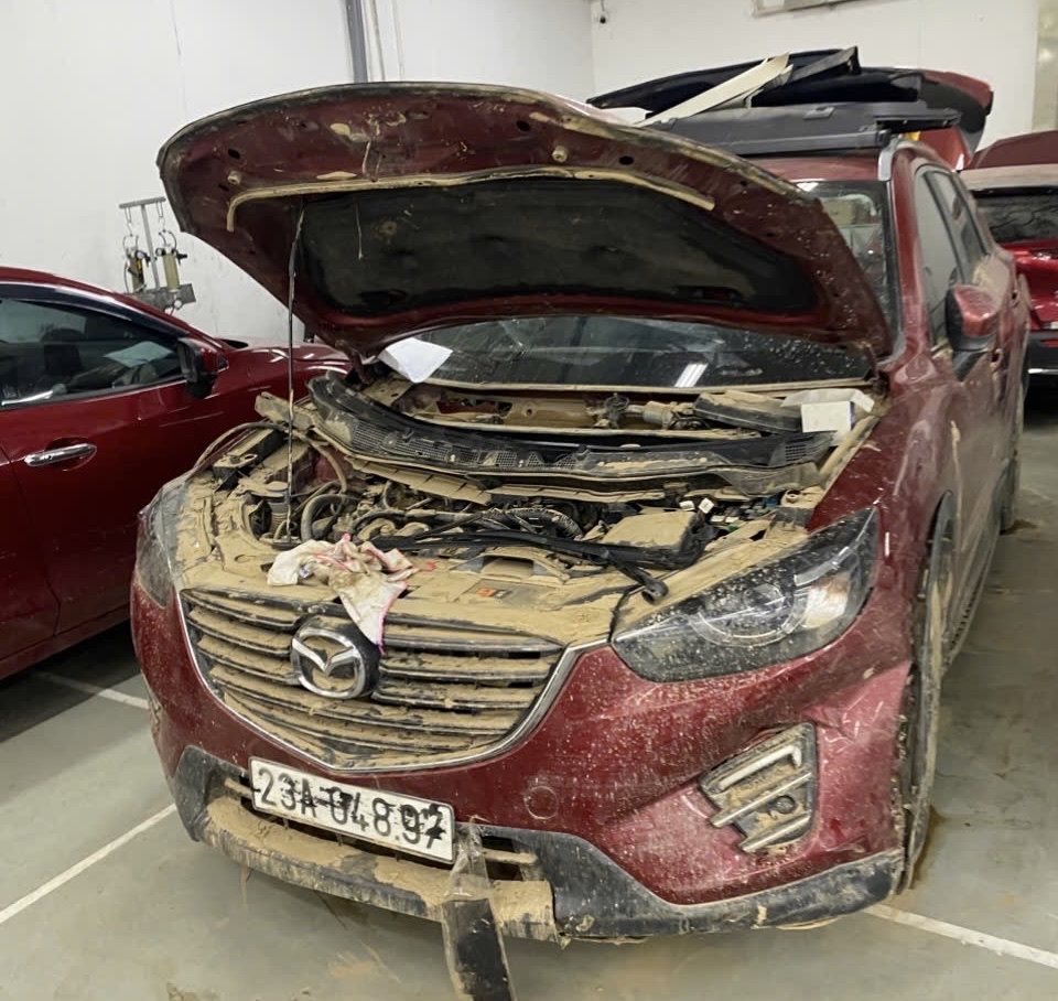 Bảo hiểm chi trả hàng trăm tỉ đồng tiền bồi thường thiệt hại do bão, lũ - Ảnh 1