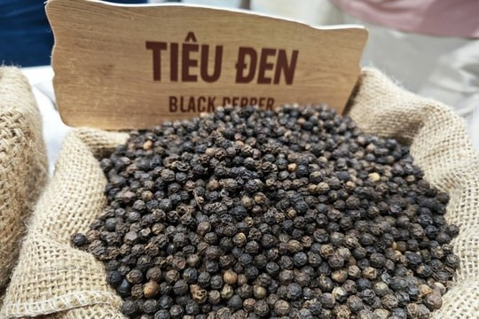 Miễn thuế đối ứng, nhiều nông sản Việt có cơ hội tăng xuất khẩu sang Mỹ - Ảnh 1