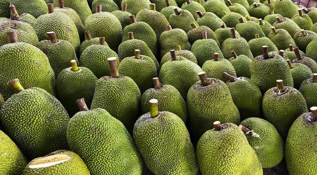 1 loại trái cây của Việt Nam chính thức được xuất khẩu chính ngạch sang Trung Quốc: Nông dân thu lợi lớn! - Ảnh 1