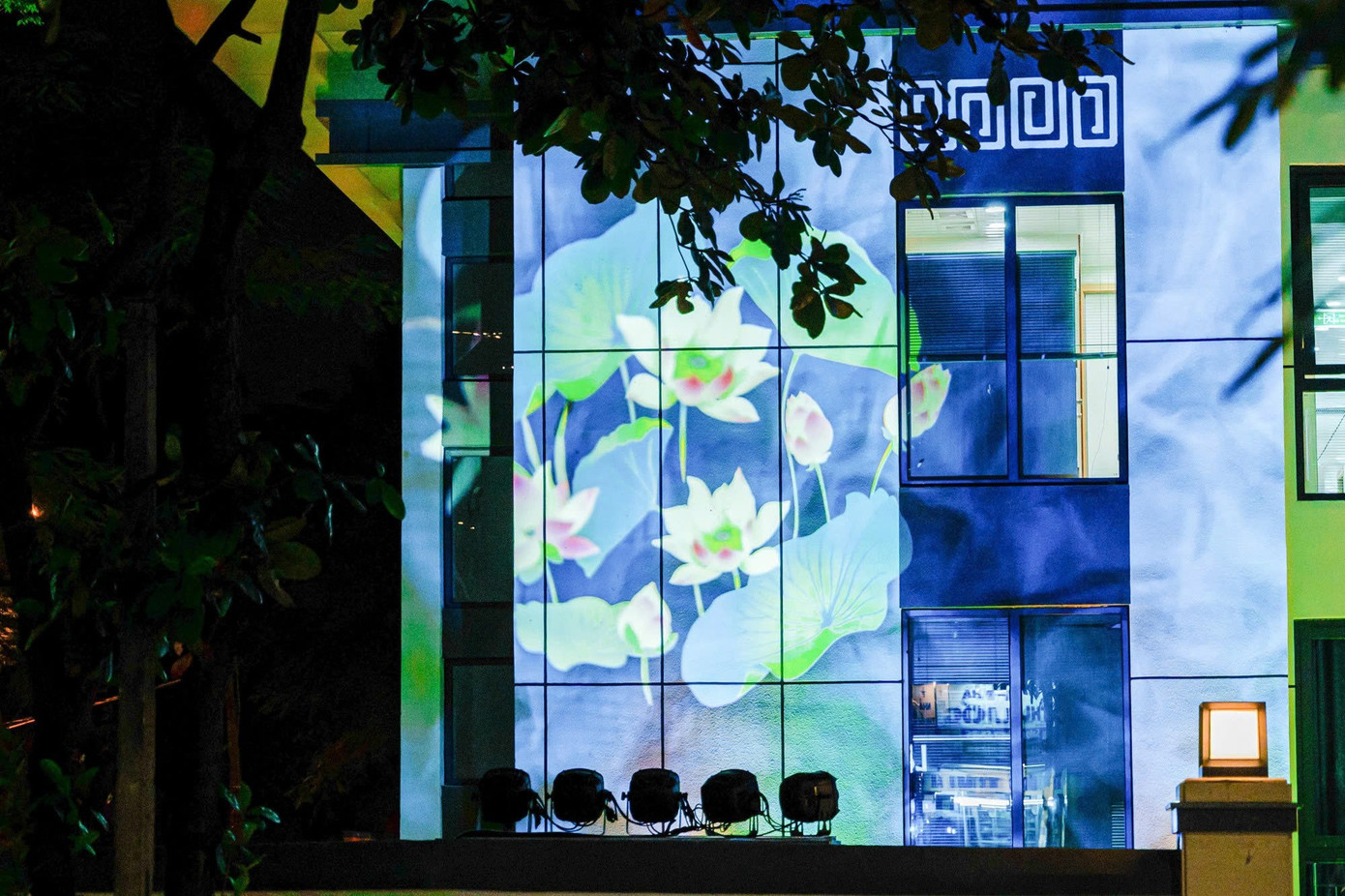 Từ 'ngôi nhà hoang', khu nhà 300 Kim Mã lột xác lung linh giữa Hà Nội - Ảnh 17