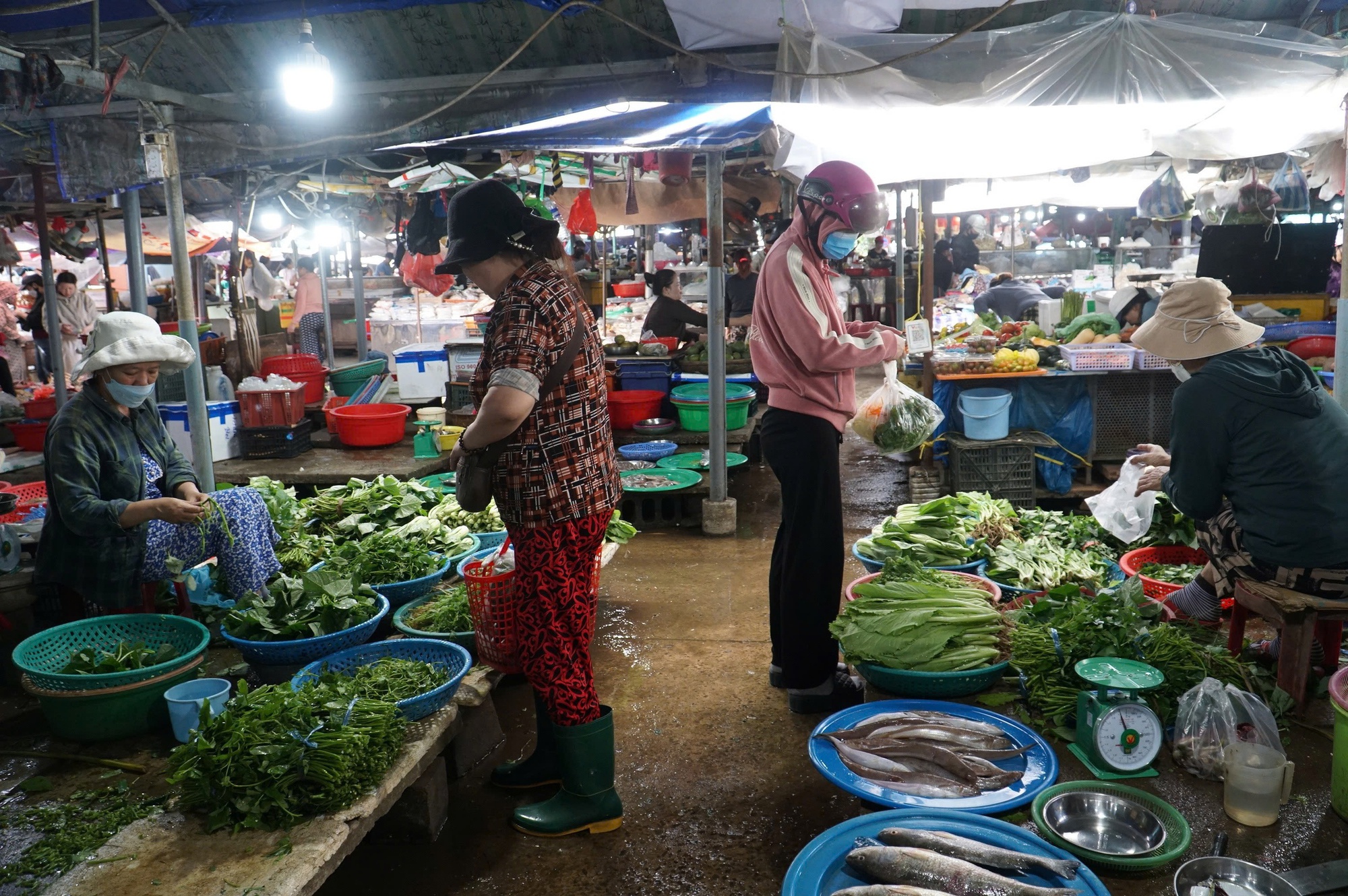 Rau xanh tại Đà Nẵng khan hiếm, giá tăng gấp 2–3 lần - Ảnh 1