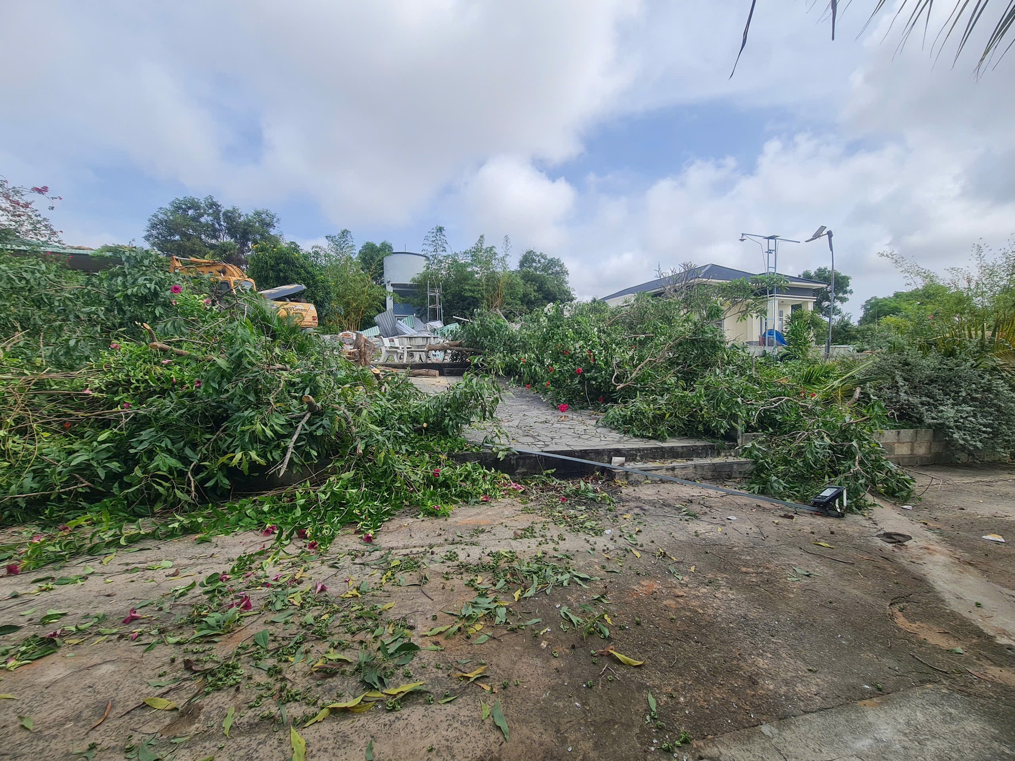 Đang cưỡng chế thu hồi hơn 66.000 m² đất lấn chiếm tại Đồi Cát Bay Mũi Né - Ảnh 1