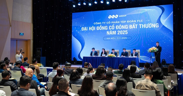 ĐHCĐ bất thường Tập đoàn FLC: Ghi nhận gần 1.800 tỷ đồng doanh thu BĐS trong 9 tháng, hé lộ 50 dự án đang triển khai và kế hoạch phát triển nhà ở xã hội