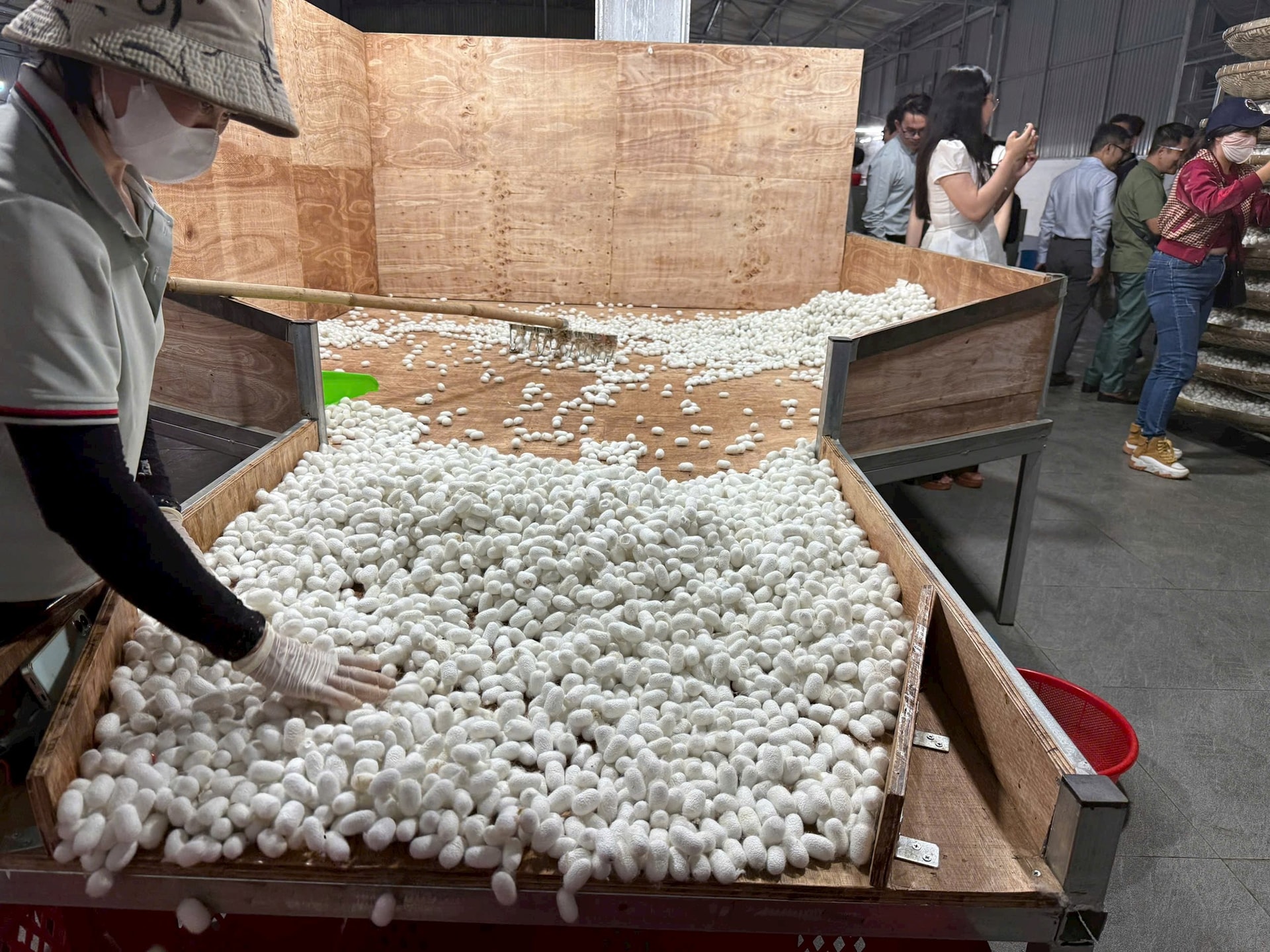 Bên trong nhà máy sợi tơ tằm xuất khẩu giá 1,6 triệu đồng/kg của Bầu Đức có gì? - Ảnh 1