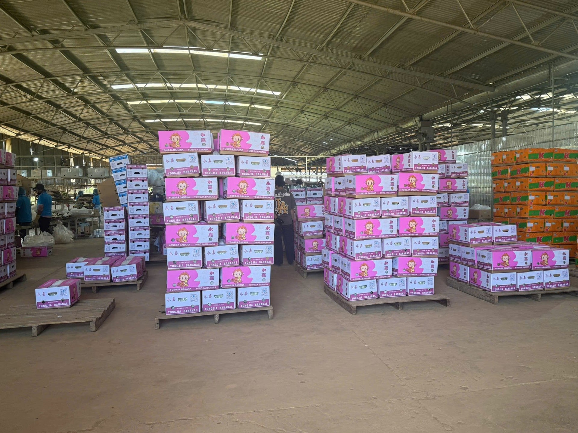 9 tháng mới lãi 1.300 tỷ, vì sao bầu Đức tuyên bố HAGL cả năm lãi 2.800 tỷ cao nhất lịch sử? - Ảnh 4