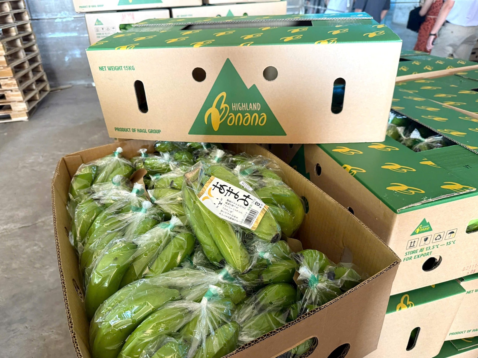 9 tháng mới lãi 1.300 tỷ, vì sao bầu Đức tuyên bố HAGL cả năm lãi 2.800 tỷ cao nhất lịch sử? - Ảnh 5