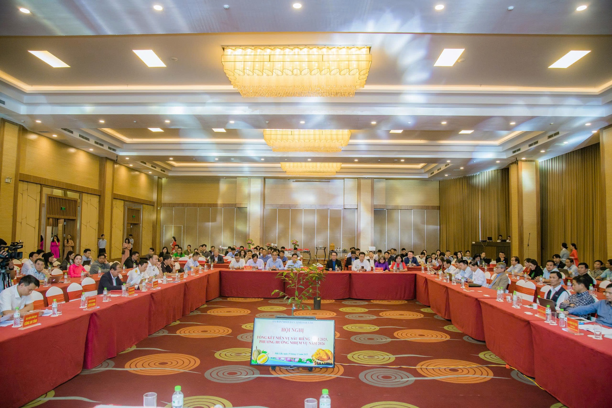 Mua hồ sơ xuất khẩu sầu riêng với giá... hàng trăm triệu đồng! - Ảnh 1