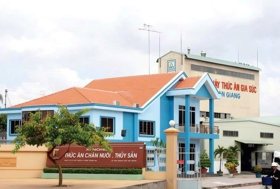 Động thái mới của ông lớn xuất khẩu gạo An Giang - Ảnh 1