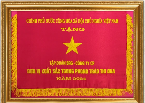 Tập đoàn BRG được trao tặng Cờ thi đua của Chính phủ - Ảnh 1