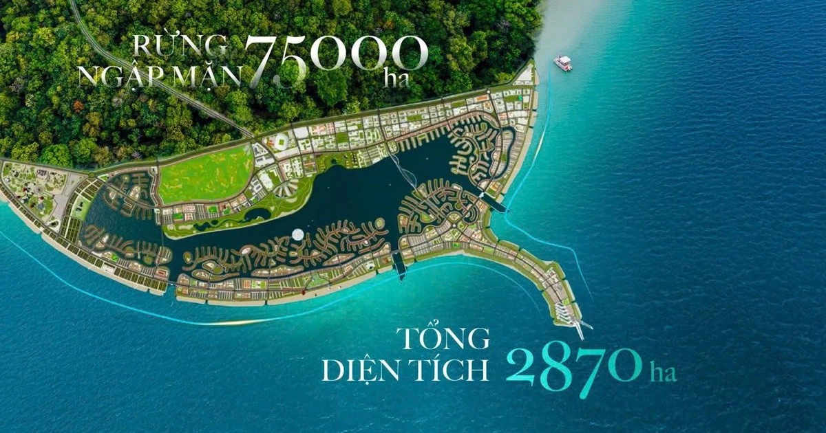 Tại sao dự án lấn biển Vinhomes Cần Giờ thu hút nhà đầu tư Hà Nội?