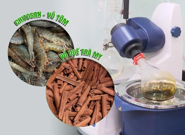 Bacte - Giải pháp sinh học thuần Việt cho nền nông nghiệp bền vững - Ảnh 1