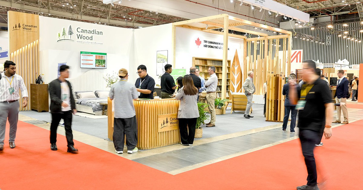 Canadian Wood Việt Nam giới thiệu giải pháp gỗ mềm bền vững tại triển lãm Vietnamwood 2025