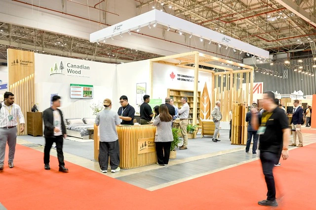 Canadian Wood Việt Nam giới thiệu giải pháp gỗ mềm bền vững tại triển lãm Vietnamwood 2025 - Ảnh 1