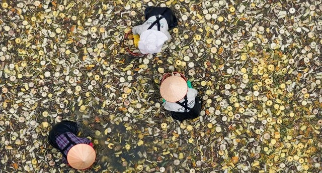 FUWA Biotech - Dấu ấn công nghệ sinh học trong ngành tẩy rửa xanh - Ảnh 1