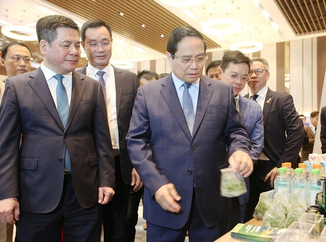 Đà Nẵng sẽ đóng vai trò cửa ngõ trung chuyển quốc tế - Ảnh 1