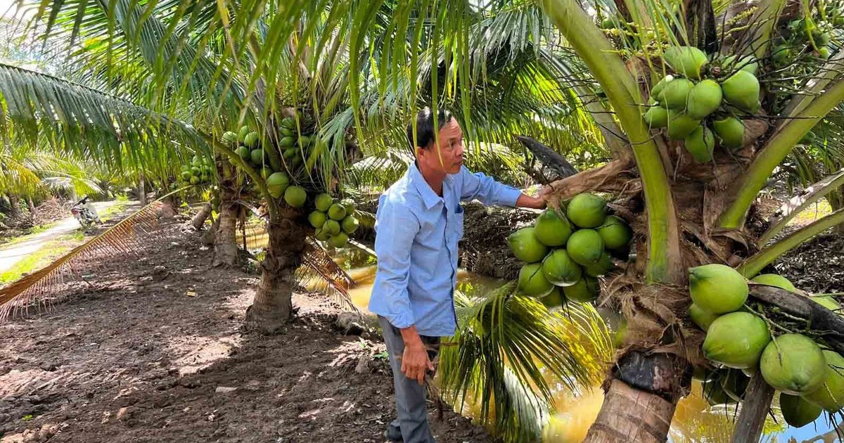 Mặt hàng nào sẽ hưởng lợi khi Mỹ miễn thuế đối ứng?