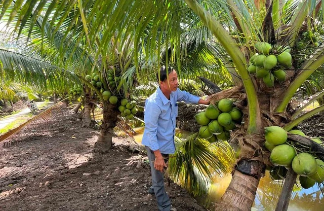 Mặt hàng nào sẽ hưởng lợi khi Mỹ miễn thuế đối ứng? - Ảnh 1