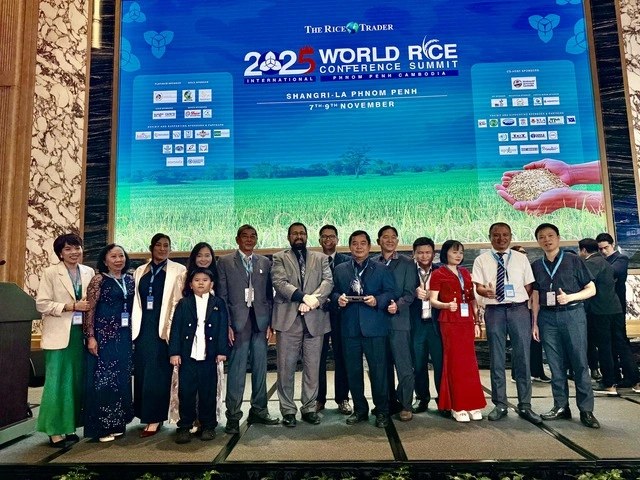 Nóng: Gạo ST25 lần thứ 3 thắng giải gạo ngon nhất thế giới - Ảnh 3
