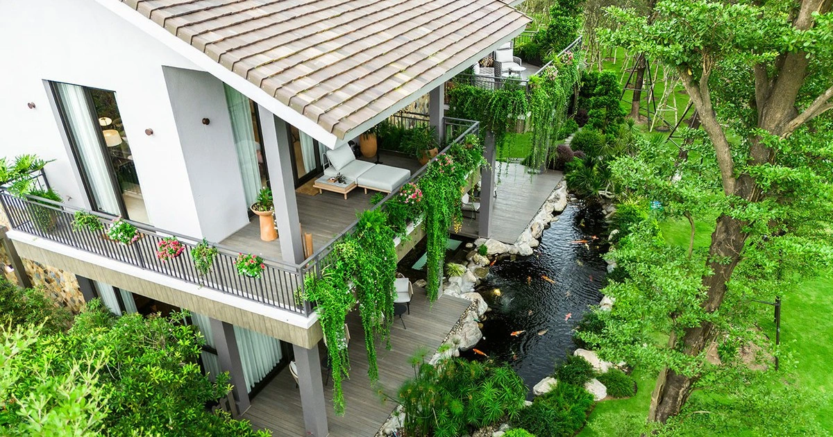 Nhà dưới tán rừng của Ecopark: Xóa nhòa ranh giới giữa tiện nghi và sinh thái