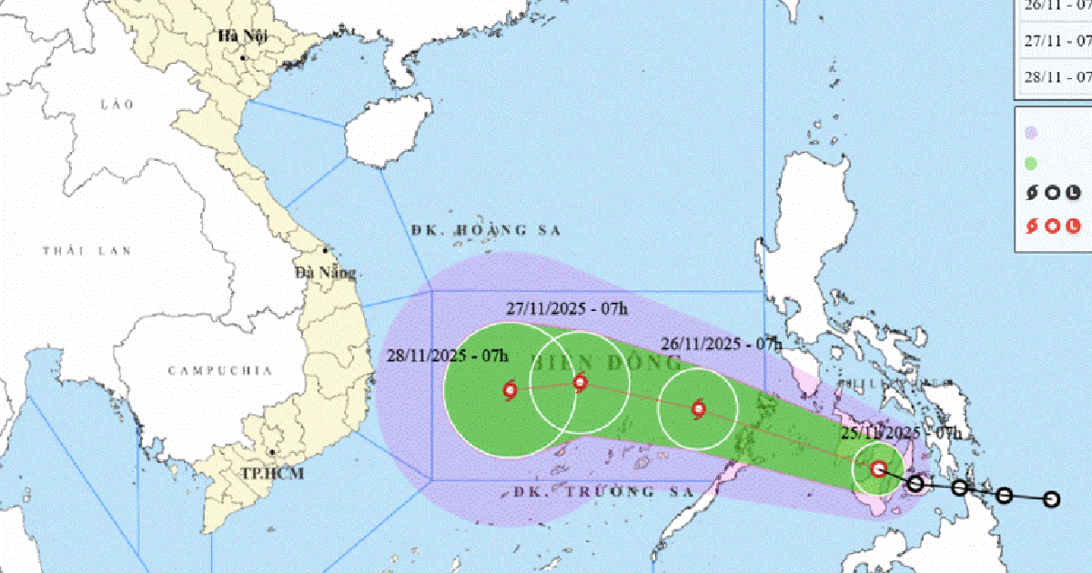 TP.HCM khẩn cấp ứng phó bão số 15 sắp xuất hiện