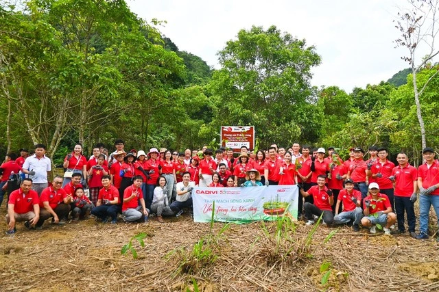 CADIVI giữ vị trí Top 20 ‘Nơi làm việc tốt nhất Việt Nam 2025’ - Ảnh 3